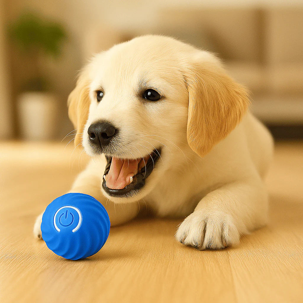 Pelota de caza electrónica para perros