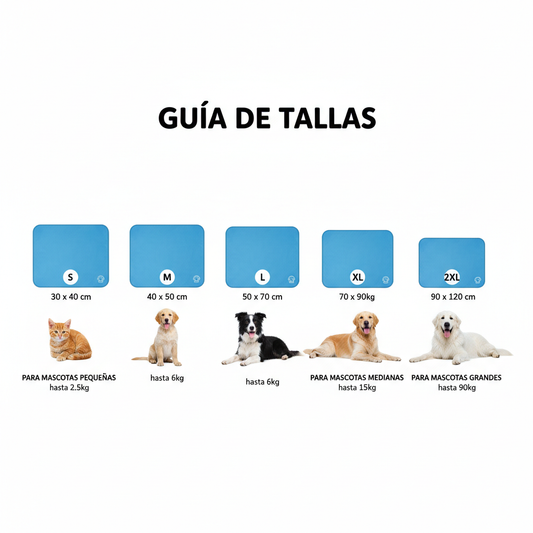 Guía de tallas