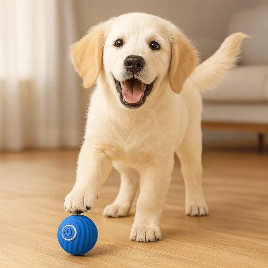 Pelota de Caza Electrónica para perros y gatos