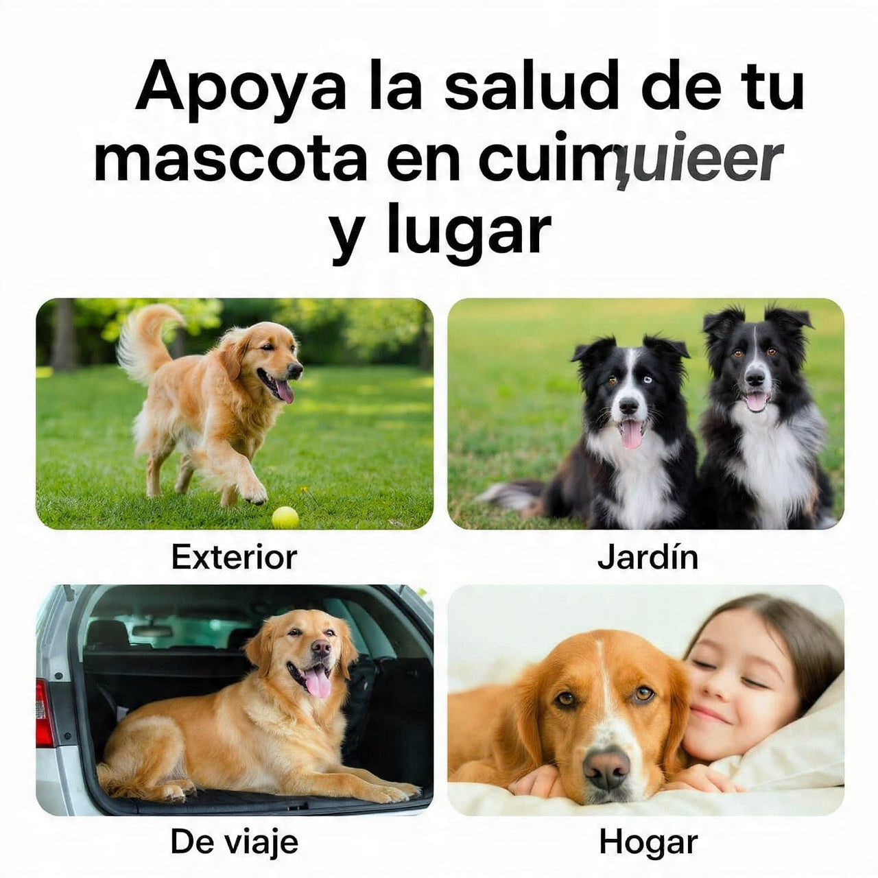 Dedales Dentales Premium para Perros y Gatos | Limpieza Bucal y Cuidado del Aliento