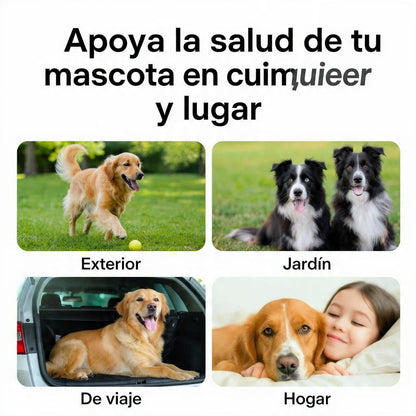 Dedales Dentales Premium para Perros y Gatos | Limpieza Bucal y Cuidado del Aliento