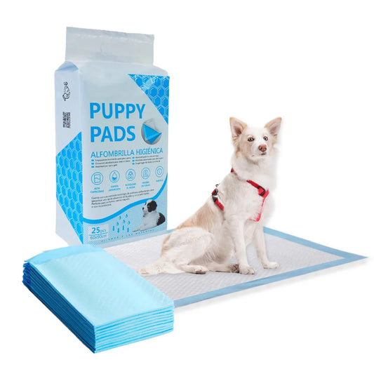 Empapadores Premium para Perros y Gatos | Alta Absorción, Antifugas y Control de Olores