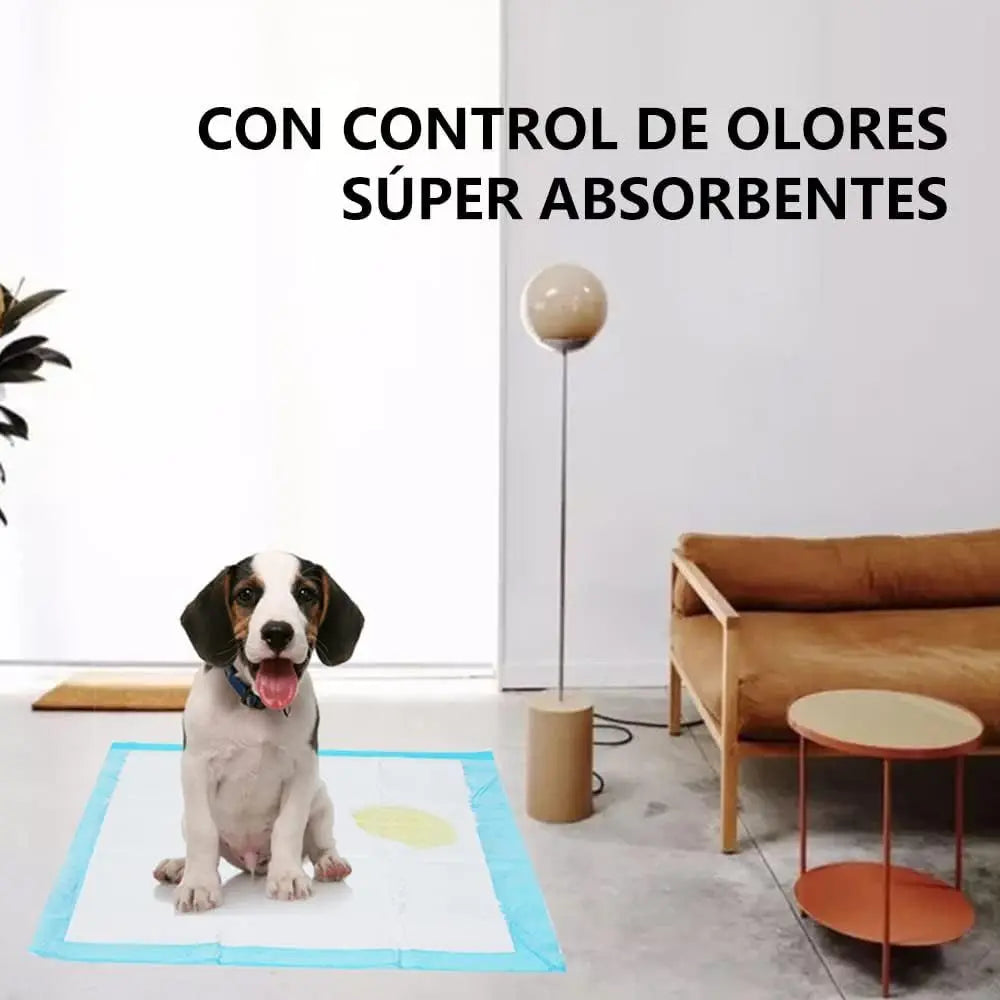 Disposable Puppy Training Pads for Dogs and Cats, Super Absorbent Pee Pads made of High-Density Cellulose and Polymer, Leak Proof and Non-Slip, Ideal for Housebreaking and Odor Control.