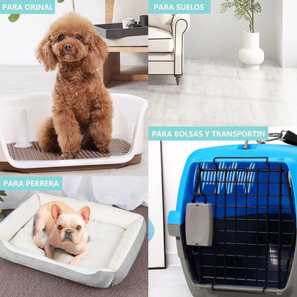 Disposable Puppy Training Pads for Dogs and Cats, Super Absorbent Pee Pads made of High-Density Cellulose and Polymer, Leak Proof and Non-Slip, Ideal for Housebreaking and Odor Control.