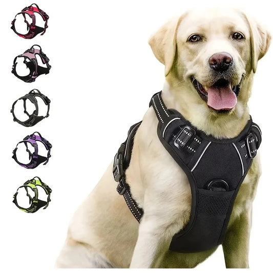 Arnés Premium para Perros con Correa | Ajustable, Cómodo y Resistente