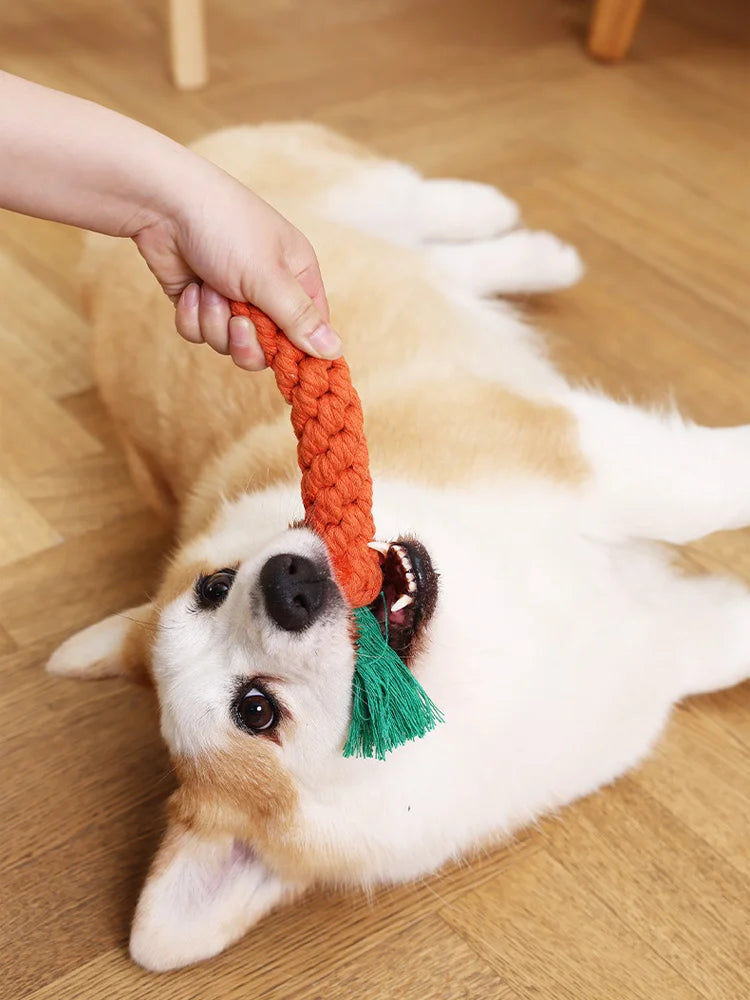 Juguete Zanahoria Cuerda Perro Pequeño Limpieza Dental