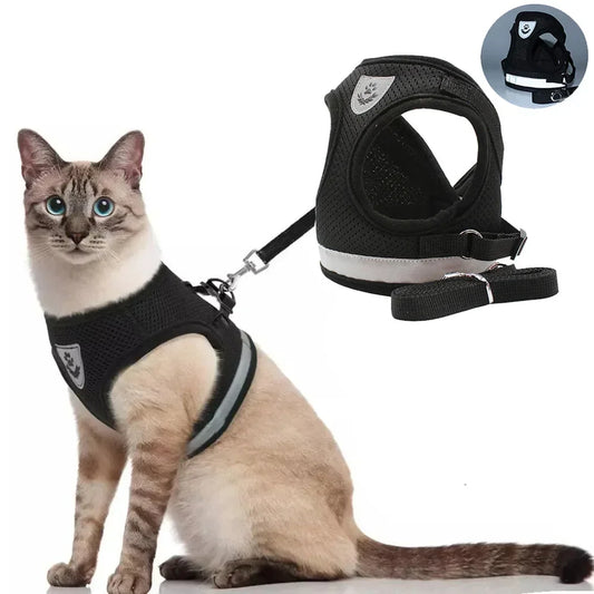 Arnés Premium para Gatos con Correa | Ajustable, Reflectante y Antiescape