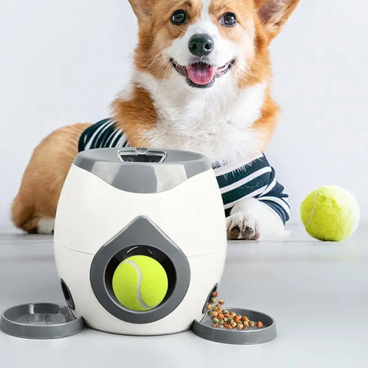 Lanzador de Pelotas para Perros