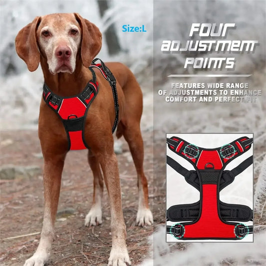 Arnés Premium para Perros con Correa | Ajustable, Cómodo y Resistente