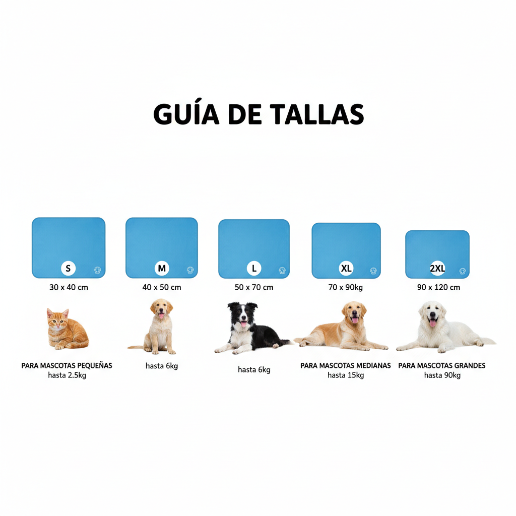 Guía de tallas